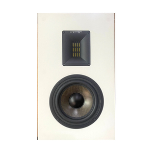 Altavoces de pared de alta fidelidad y cine en casa OW116
