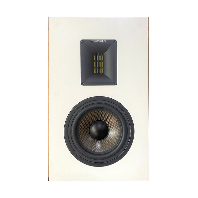 Altavoces de pared de alta fidelidad y cine en casa OW116